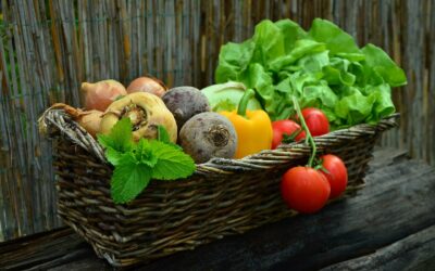 Vom „Ernte teilen“ zur Solidarischen Landwirtschaft