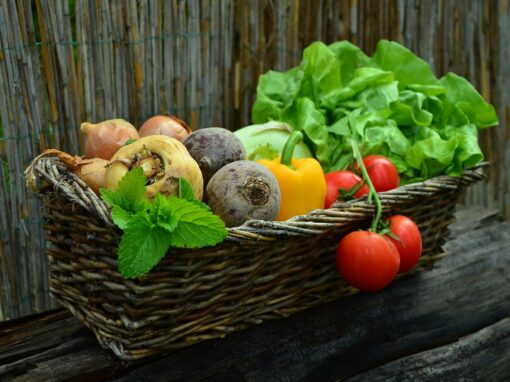 Gemüse – regional, ökologisch, solidarisch?